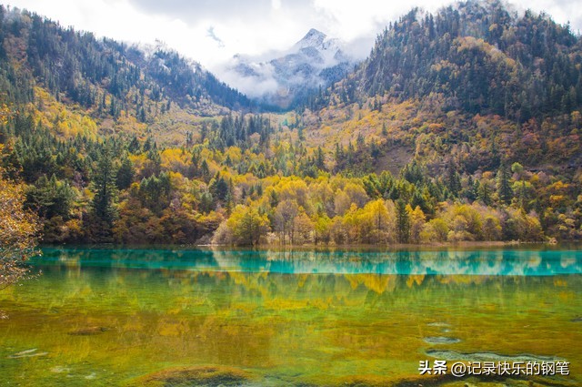 山东旅游必去十大景点自驾,广西旅游必去十大景点排名