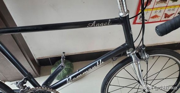 适合旅行的公路自行车推荐,最舒适助力旅行自行车推荐