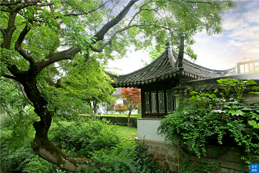 苏州著名景点虎丘简介,吴中必游虎丘原因