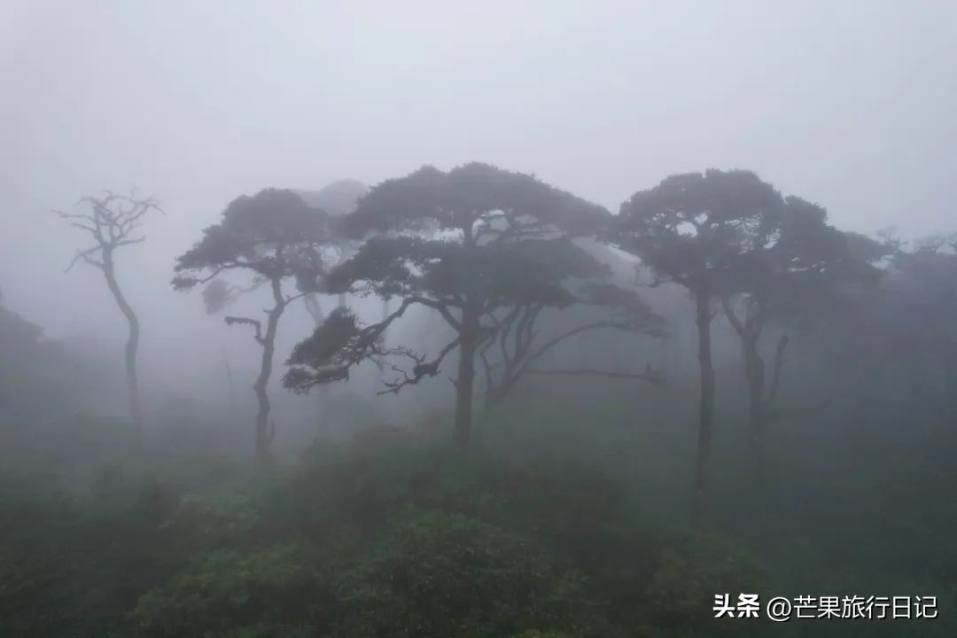 广州周边哪座山风景最好,广东和桂林风景相似的地方