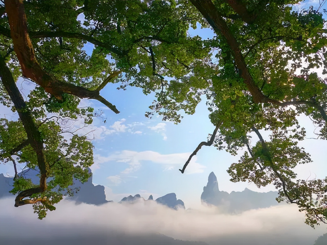 一生必去的村落,仙居公盂古村