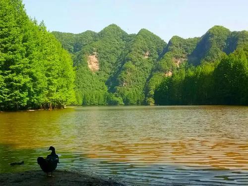 冬日里的汉中美景,南郑龙池秋色视频