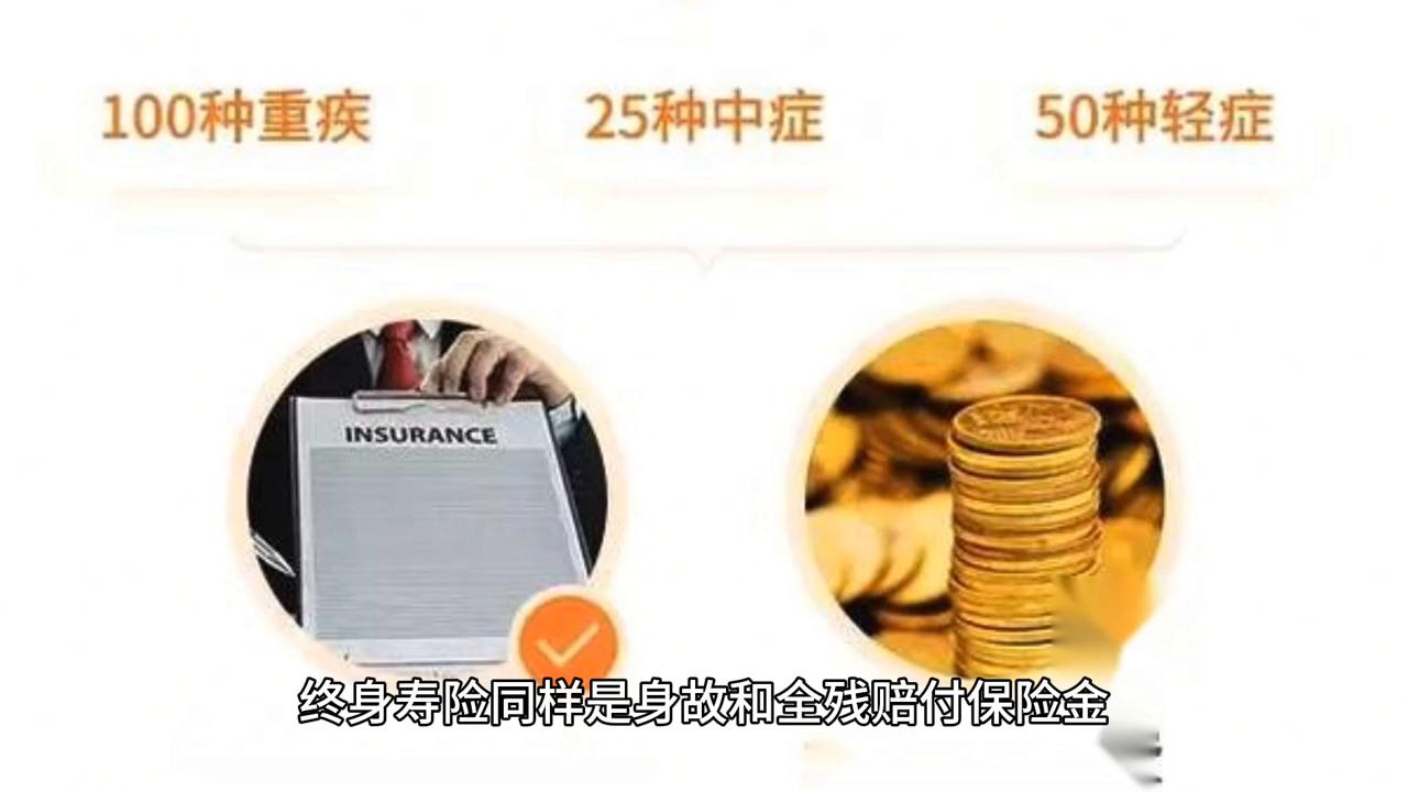 什么是人寿保险的含义,什么是人寿保险和重疾保险
