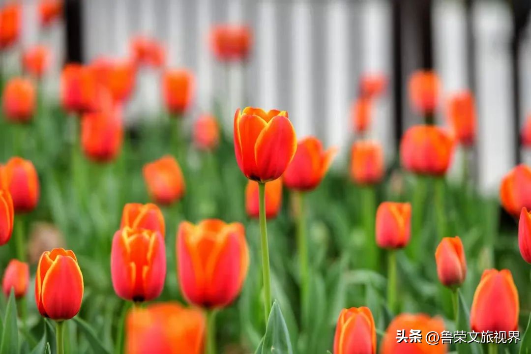 西安旅游攻略大全坐地铁,西安地铁旅游攻略三日游