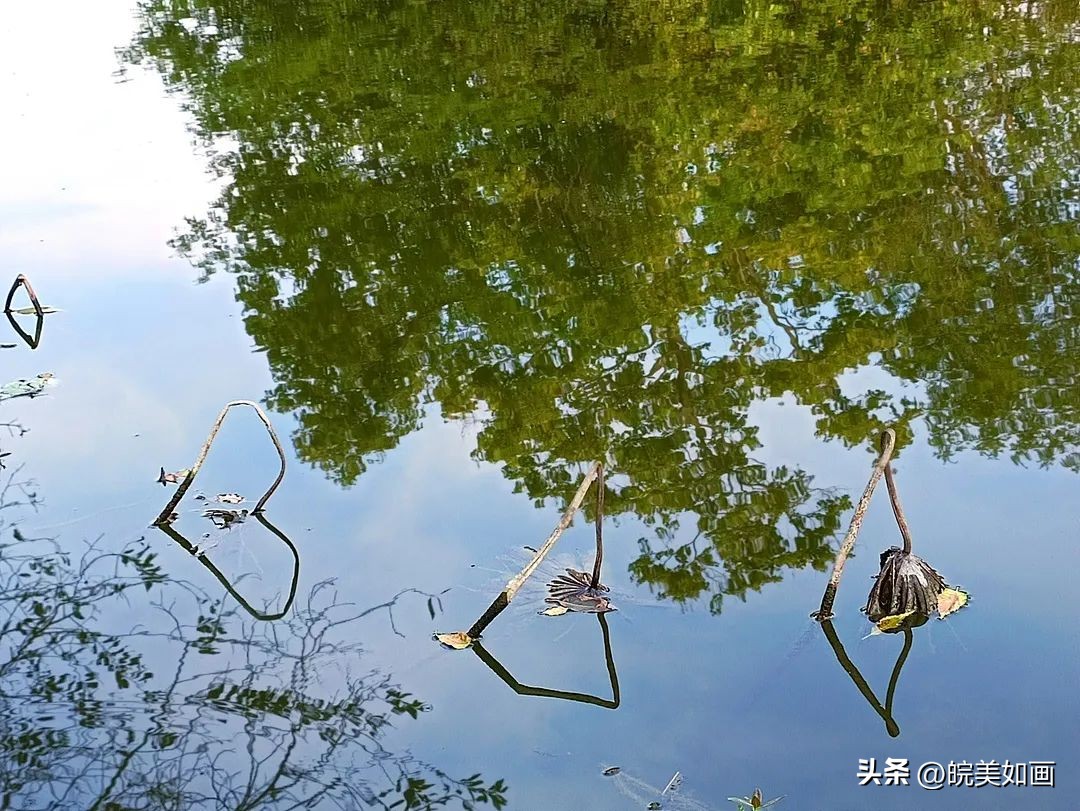 安徽大学好看的风景,高校最美秋景