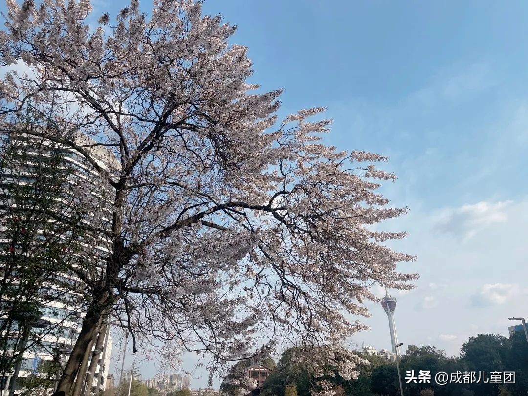 地铁3号线能到的美景地方,一号线地铁直达的风景