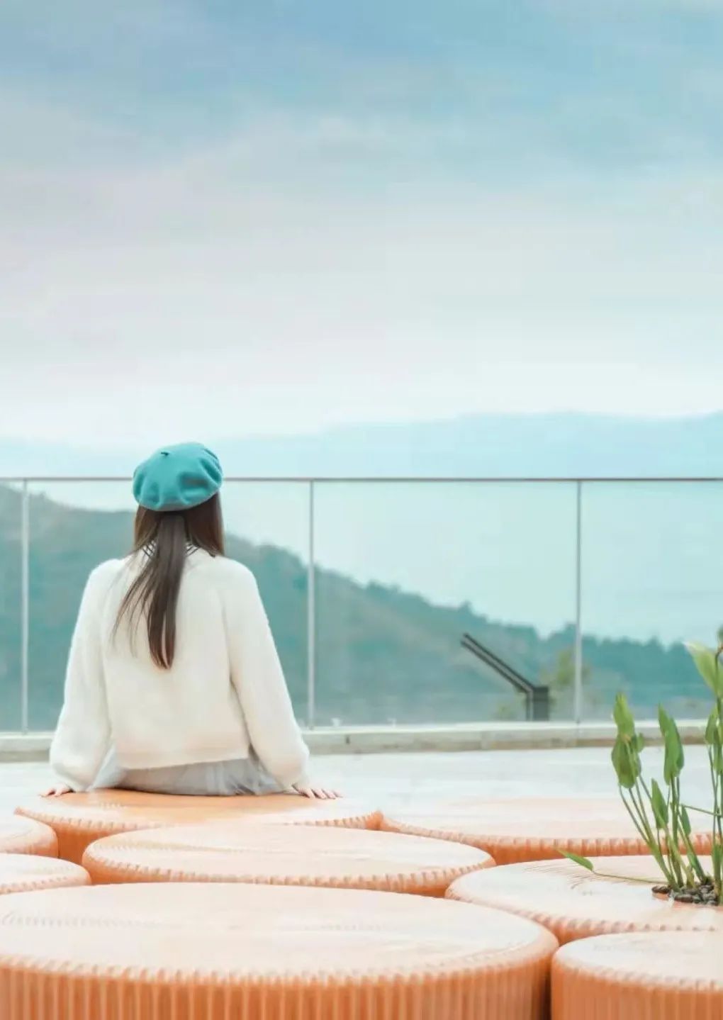 2022花海盛开,2022春季花海