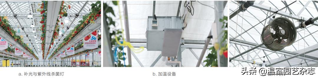 关注｜可升降的观光型草莓吊架，你见过吗？