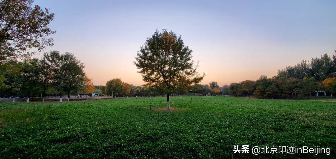 北京的秋朗读,北京的秋的夜晚