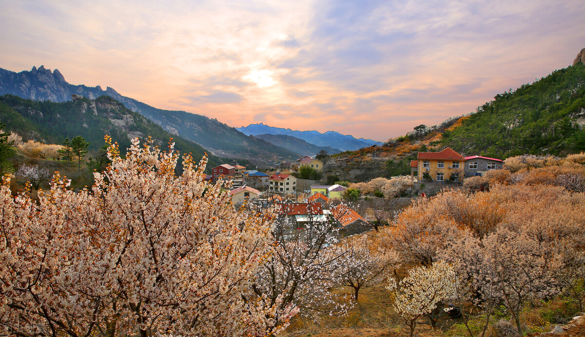 梦华录养生之道,梦华录养生