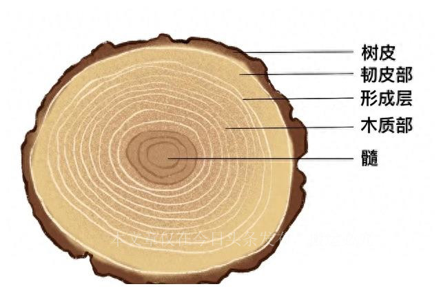 美、英等200余名专家“齐聚”，这一首届国际大会召开，阵容强大