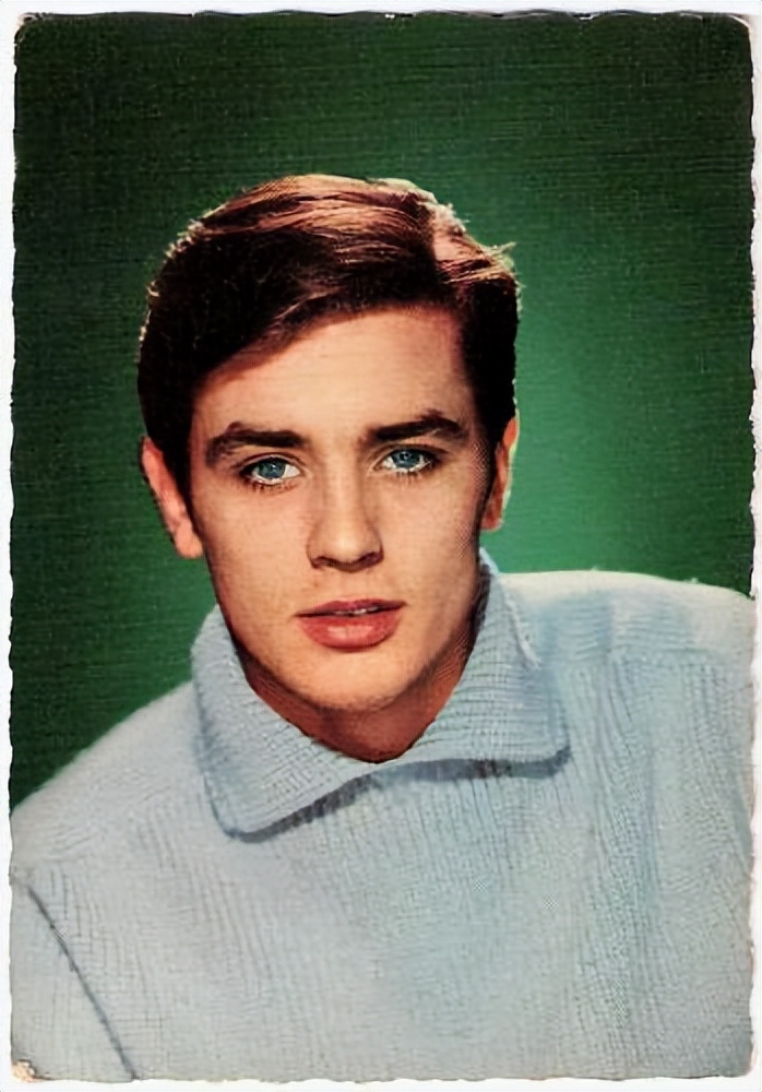 独行杀手深度解析,独行杀手视频完整版