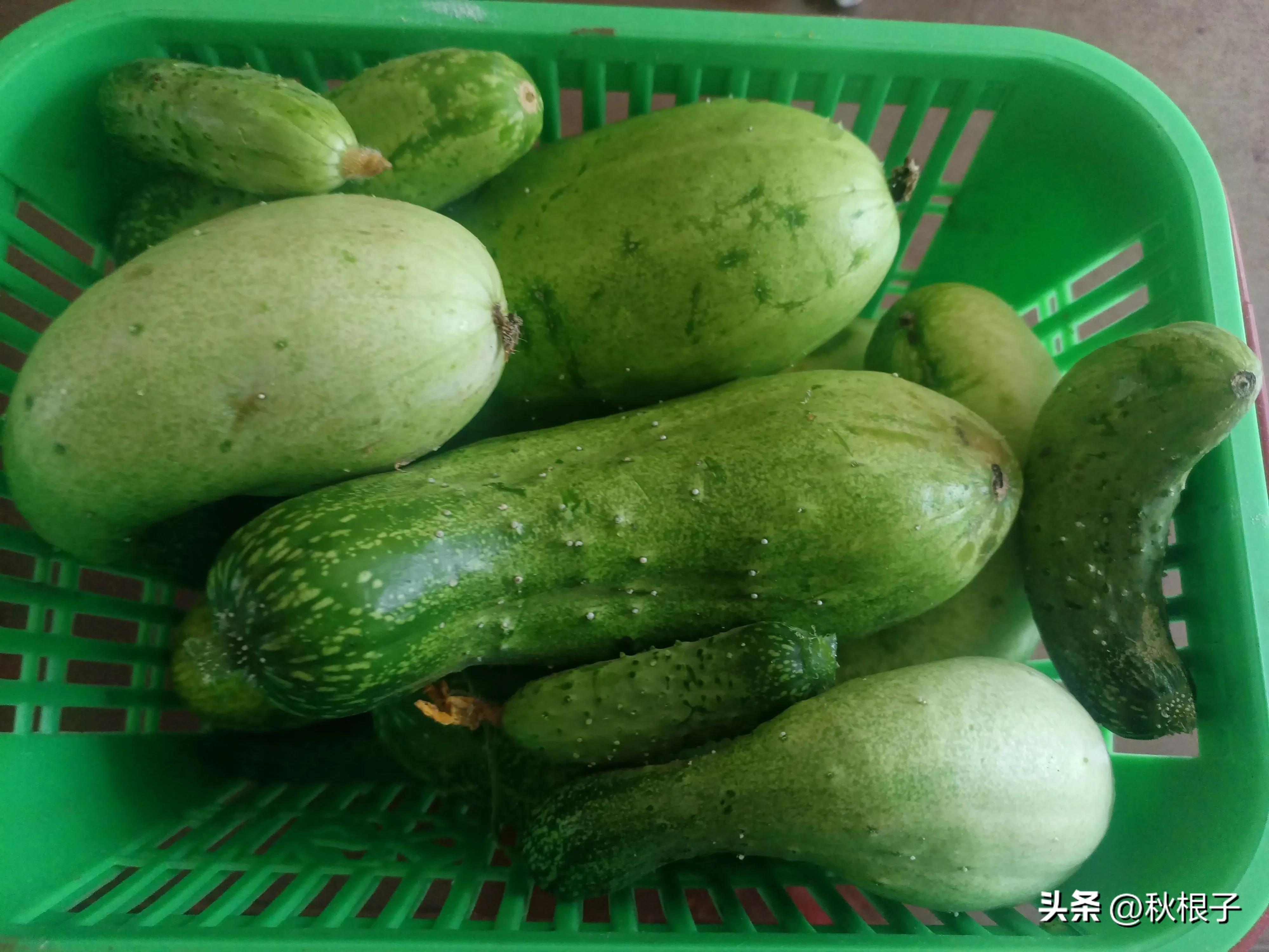 东北话不加儿化音,东北话不吱声是什么意思