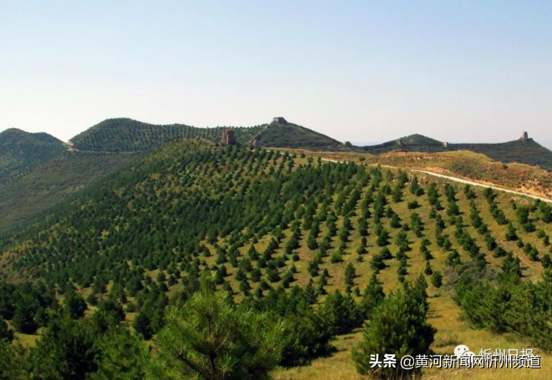 创新思路推进黄河生态保护,两会聚焦黄河流域生态保护