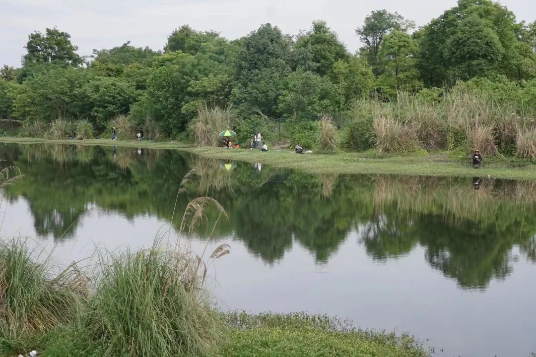 成都免费露营地推荐过夜,成都周边露营地推荐自驾
