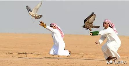 让沙特不再神秘，旅居沙特的华人带你走进沙特