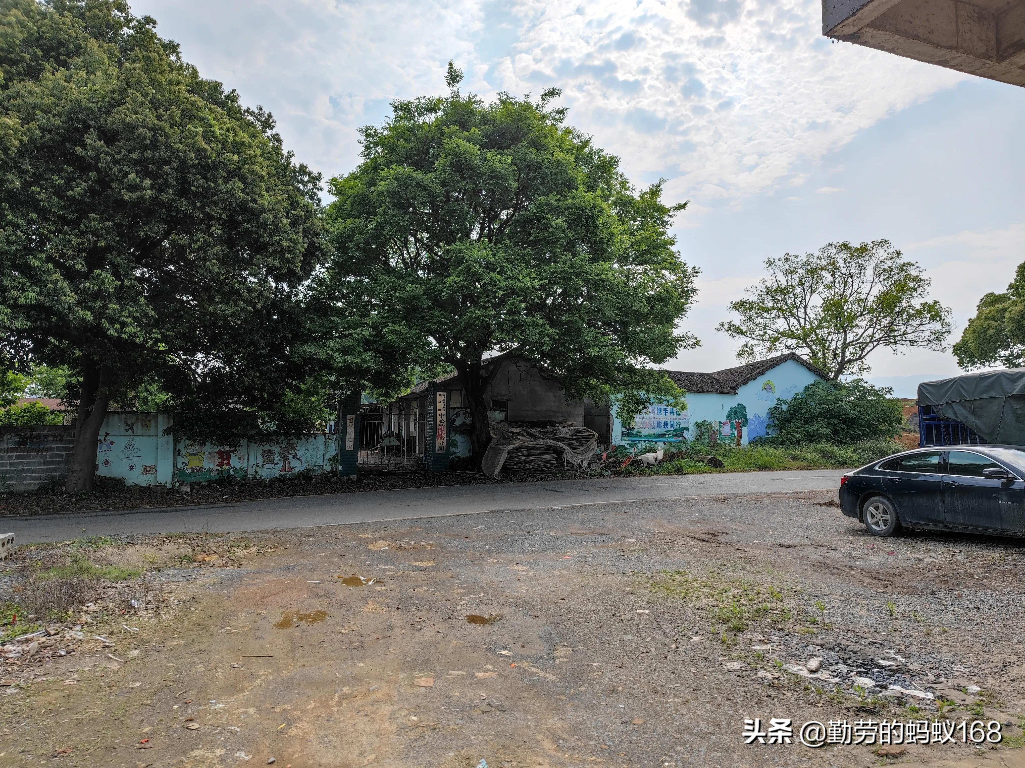 小米11ultra3999值得买吗,小米11ultra和荣耀magic4