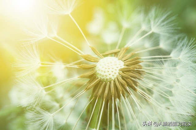 丈夫发现妻子出轨最好的处理方法,妻子出轨丈夫的正确处理方法