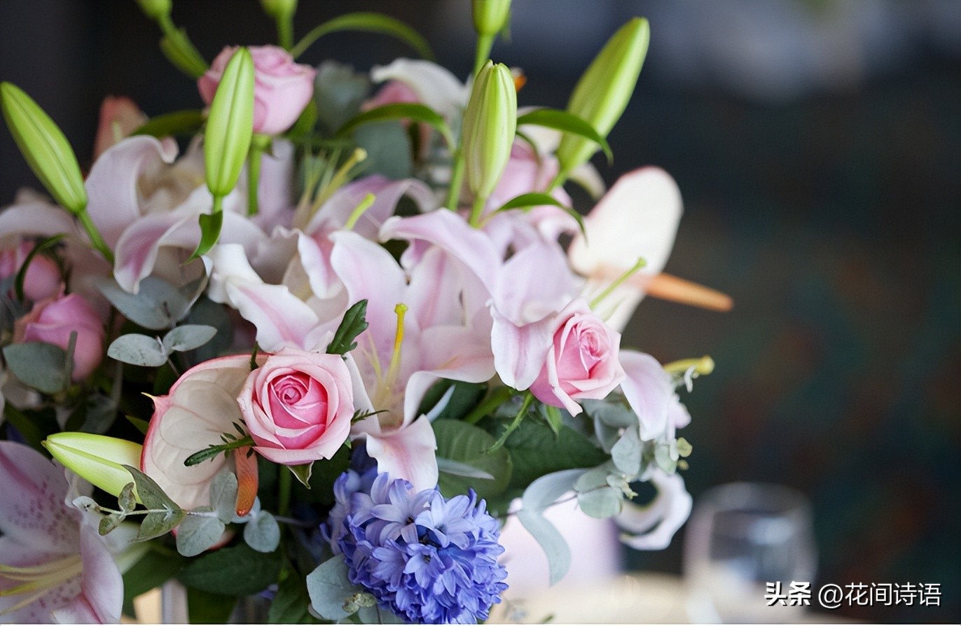 520送什么鲜花最好看,520送鲜花和什么花合适