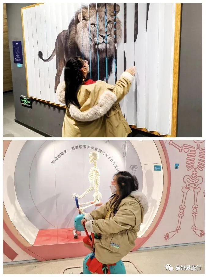 青岛下雨天遛娃的地方,青岛免费景点遛娃攻略路线