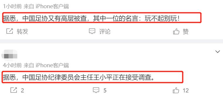 媒体人热议王小平被查,足协王小平接受调查
