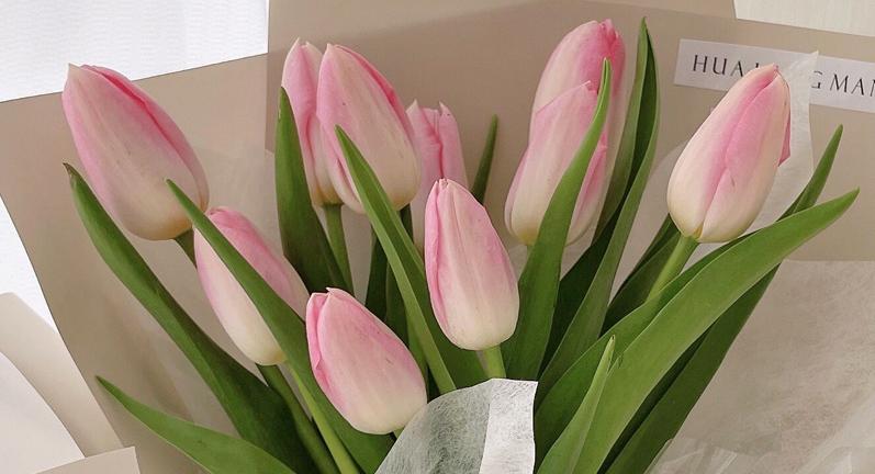 荷兰银行靠谱吗,荷兰的银行