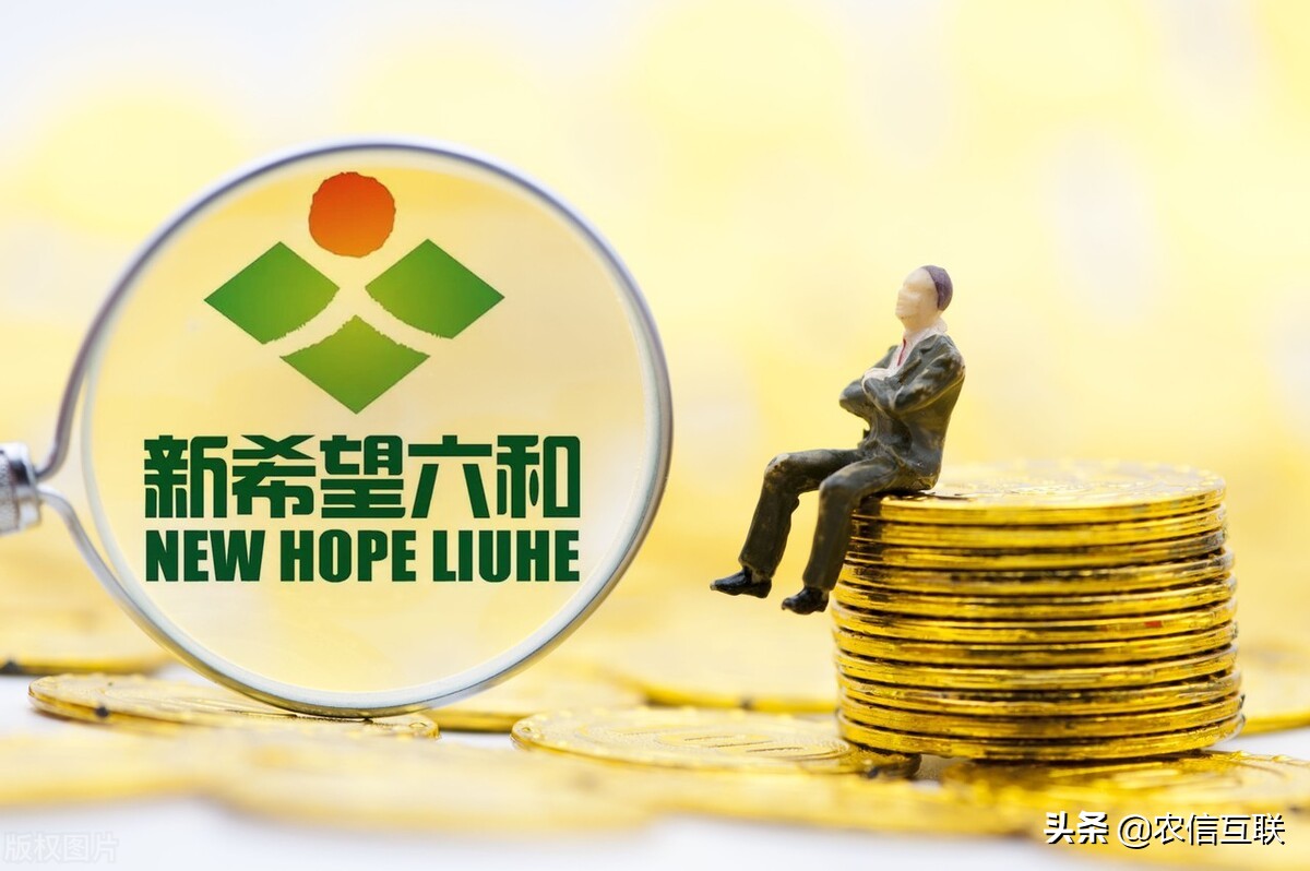 饲料价格高企养猪成本高,原料涨猪价跌如何维持饲养成本