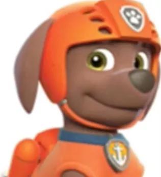 汪汪队立大功狗狗都是什么品种,汪汪队中的11个狗狗品种