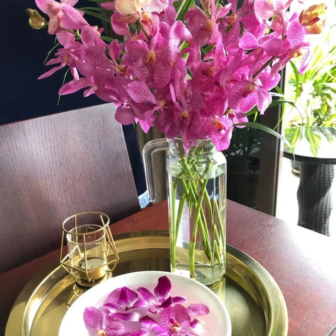 鲜花在水里能养几天会死,新加坡盆栽花卉怎么养