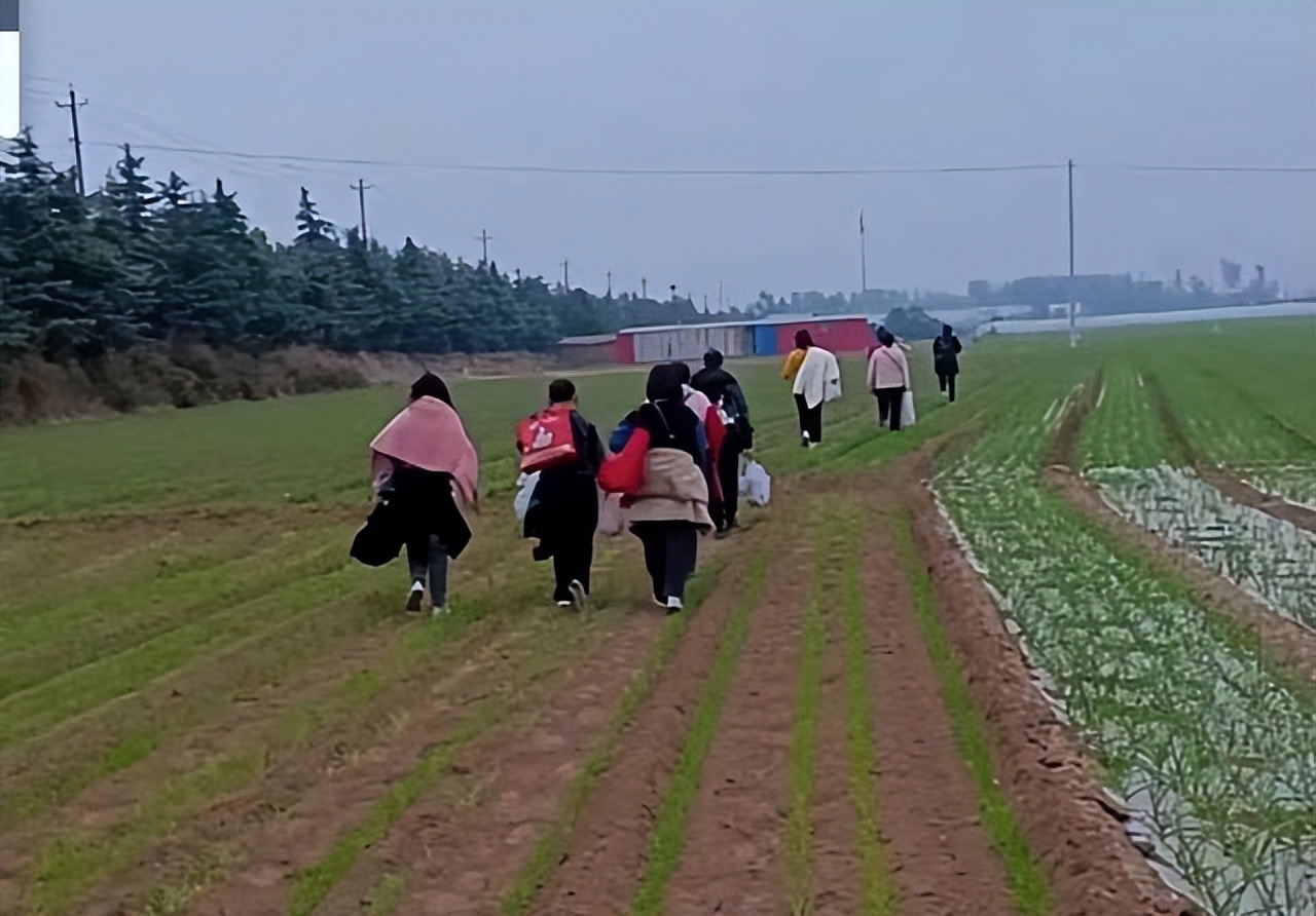 郑州富士康员工自述真实心声,河南郑州富士康员工徒步回家事件