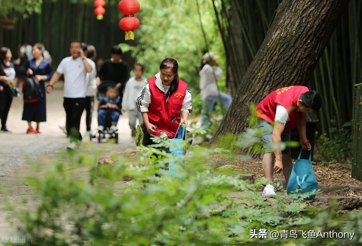 绿色是发展的最美底色,绿色生态与和谐共生