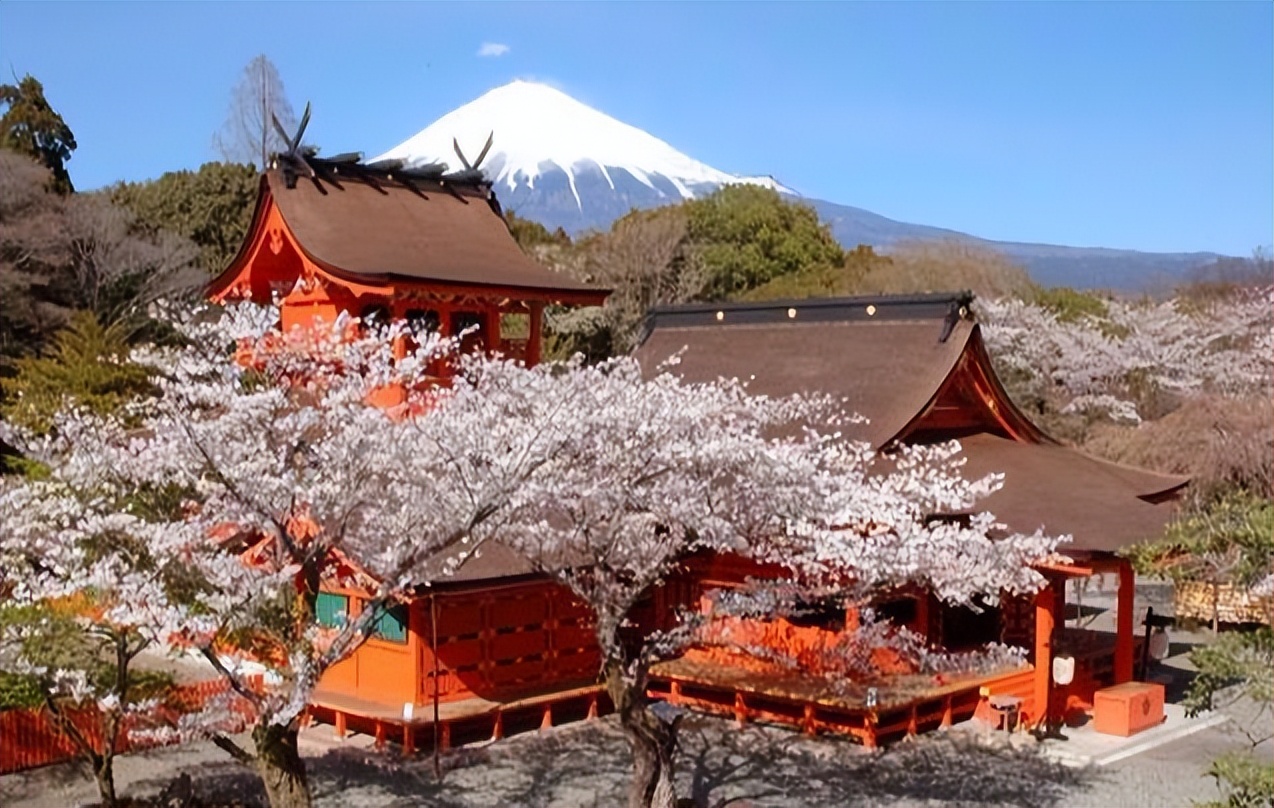 樱花起源于中国为什么叫日本樱花,日本樱花的历史简介