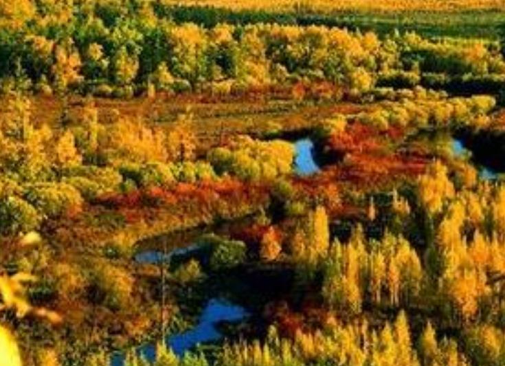 澶у叴瀹夊箔閲庝汉涔嬭皽鎻,澶у叴瀹夊箔娲绘崏閲庝汉涔嬭皽