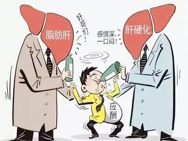 饮酒前护肝解酒的食物,酒后护肝食疗