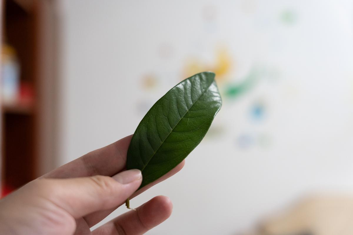 护发养护吹风机,吹护合一的吹风机