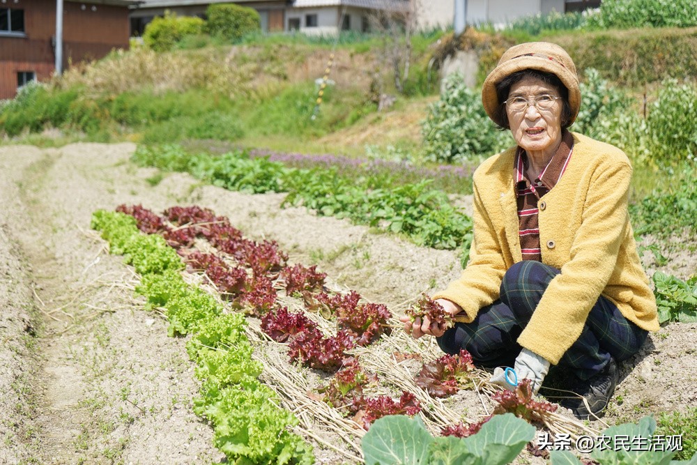 老人说今年立冬，“立冬甲子头，寡妇四方游”，甲子头什么意思？