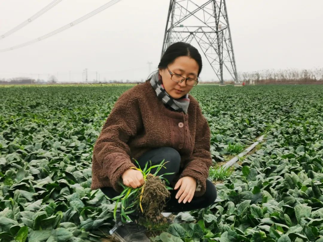 我的创业故事纪录片,我的奋斗故事乡村振兴