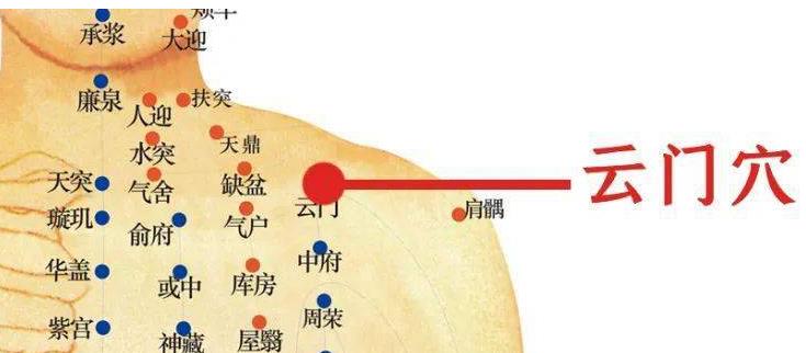 肺经主管身体什么问题,调理肺经的最佳方法