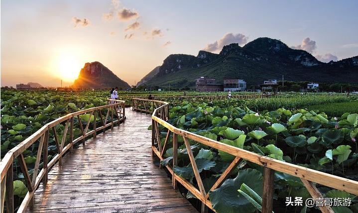 广西宾阳旅游攻略路线,广西南宁宾阳旅游攻略景点