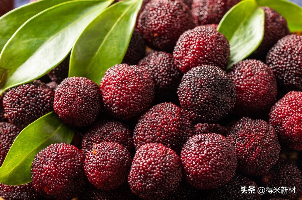 哪一种杨梅能吃哪一些杨梅不能吃,什么杨梅冬天可以吃