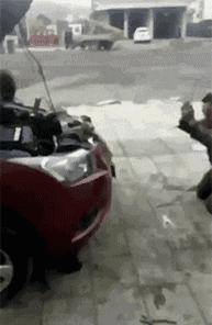 女婿发错信息给丈母娘新闻,女婿错把信息发给岳母怎么回复