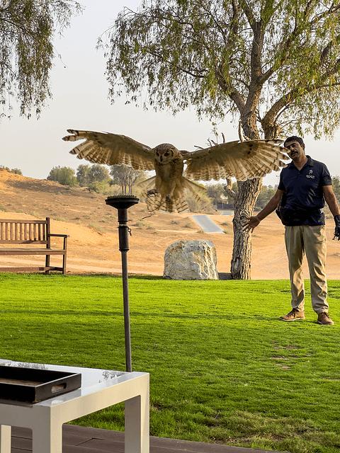 阿联酋丽思卡尔顿,阿联酋野奢帐篷