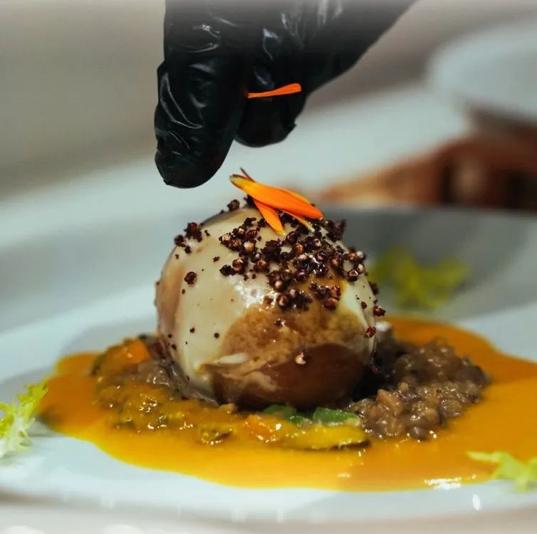 2023博古斯世界烹饪大赛超燃剪辑 (博古斯世界烹饪大赛中国代表队)