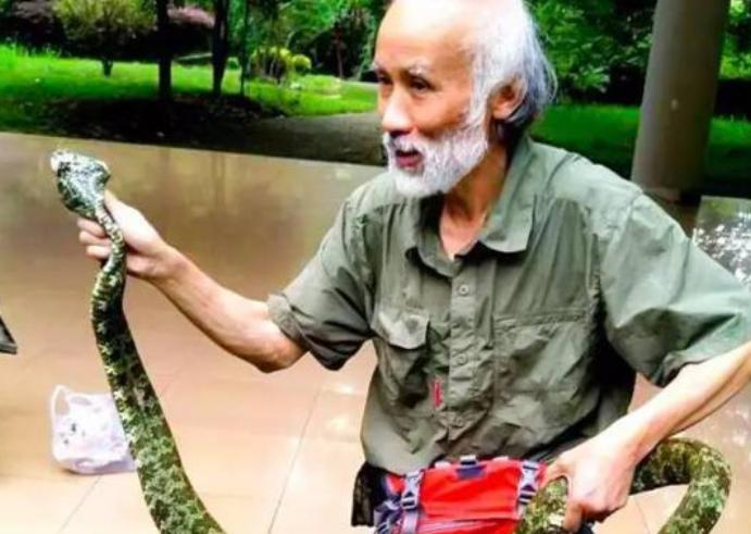 1989年，他发现价值百万的莽山烙铁头，被咬20多次，如今生活怎样