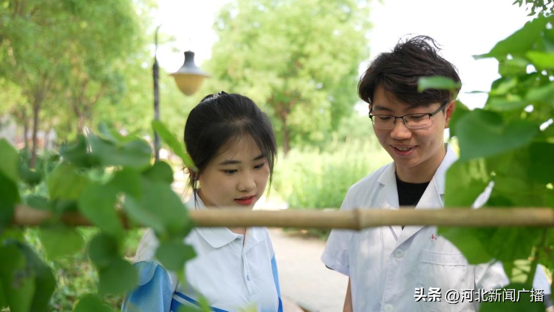 河北中医药学院更名了吗,河北中医大学和河北中医学院关系