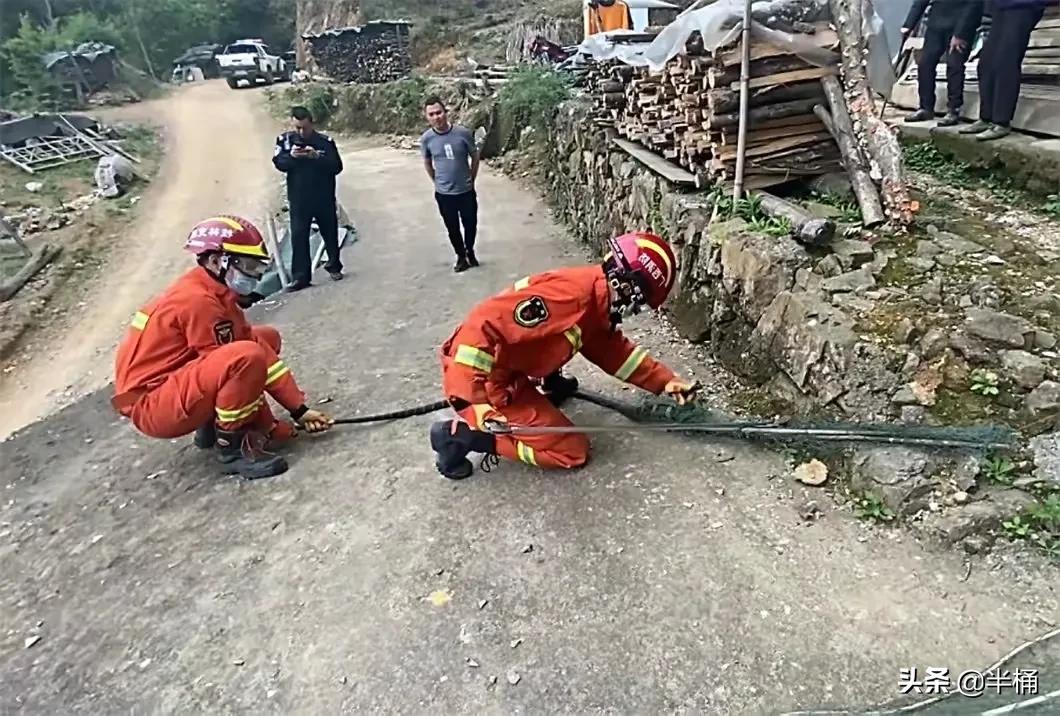 蛇出没的地方怎样预防,野外遇到蛇注意事项