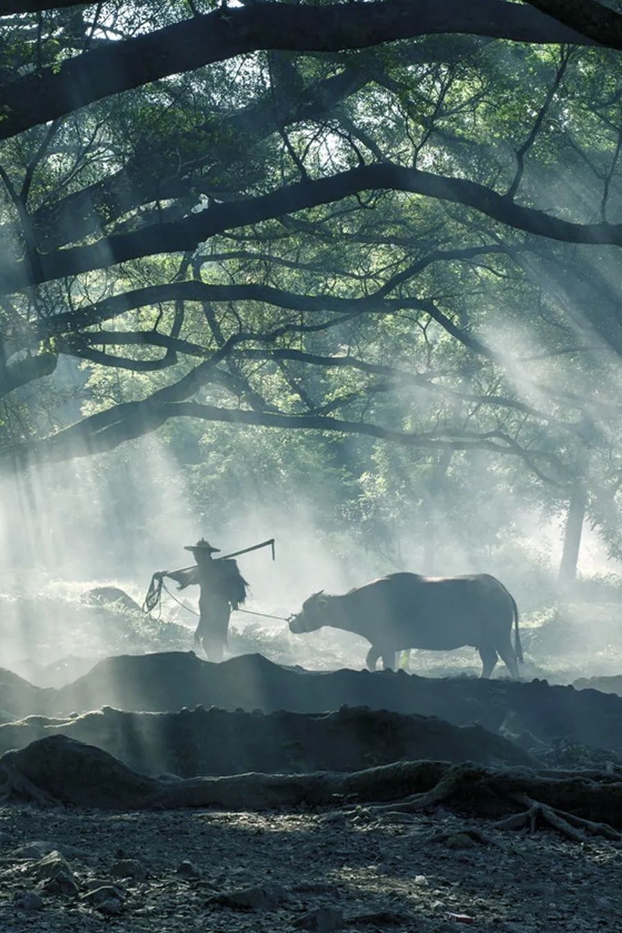 中国人对时间的雅称,中国人对时间的解读