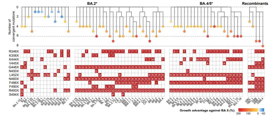 从流感病毒看新冠病毒的未来,流感及新冠病毒科普