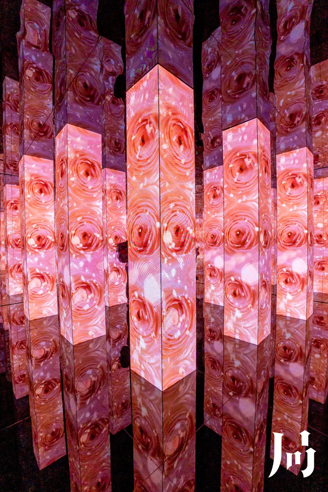 半个娱乐圈都来打卡的地方,半个娱乐圈都在打卡环球影城