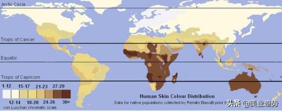 审美和美业的关系,做美业如何提高审美